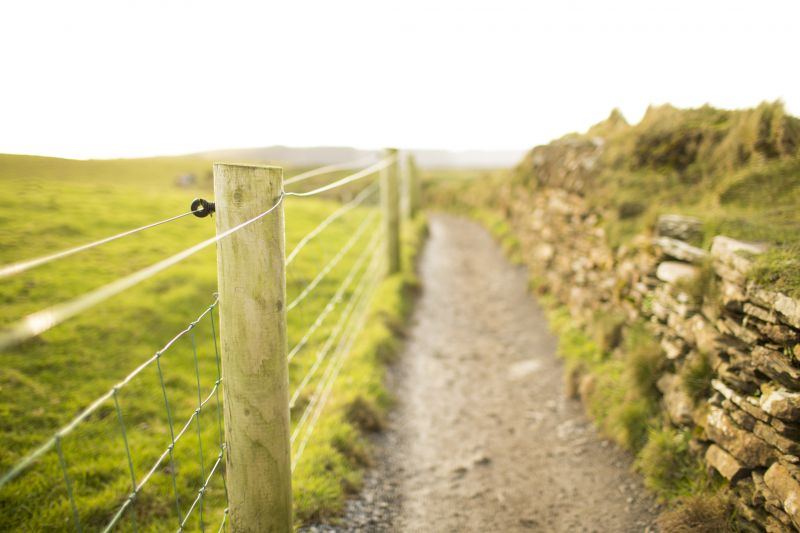 Fence Installation in Spring